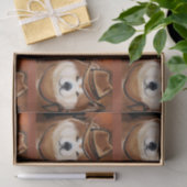 秋田 薄葉紙 (ギフト)