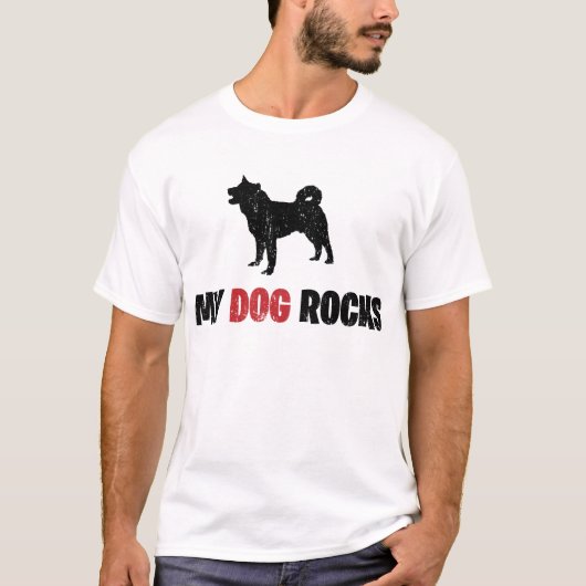 秋田 Tシャツ (正面)