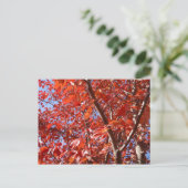 秋祝はがき ポストカード (スタンド正面)