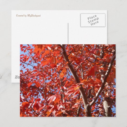秋祝はがき ポストカード (正面/裏面)