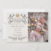 秋私たちのリトルカボチャ誕生ベビー発表 (正面)