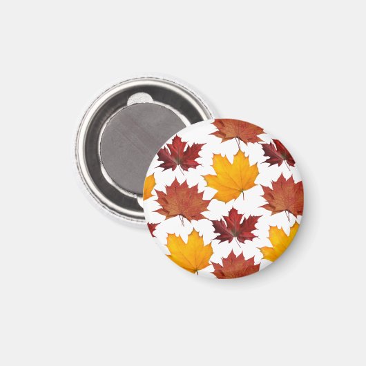 秋秋のカエデ葉ル マグネット (正面/裏面)