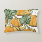 秋秋の水の色ヴィンテージカボチャ アクセントクッション (正面)