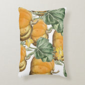 秋秋の水の色ヴィンテージカボチャ アクセントクッション (正面(垂直))