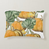 秋秋の水の色ヴィンテージカボチャ アクセントクッション (裏面)