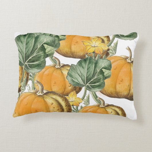 秋秋の水の色ヴィンテージカボチャ アクセントクッション (裏面)