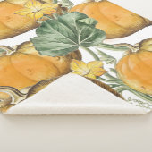 秋秋の水の色ヴィンテージカボチャ シェルパブランケット (3/4)