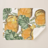 秋秋の水の色ヴィンテージカボチャ シェルパブランケット (正面(横))