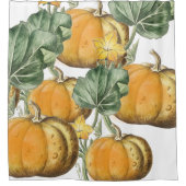 秋秋の水の色ヴィンテージカボチャ シャワーカーテン (正面)