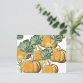 秋秋の水の色ヴィンテージカボチャ シーズンポストカード (スタンド正面)