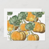 秋秋の水の色ヴィンテージカボチャ シーズンポストカード (正面/裏面)