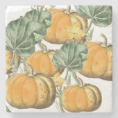 秋秋の水の色ヴィンテージカボチャ ストーンコースター (正面)