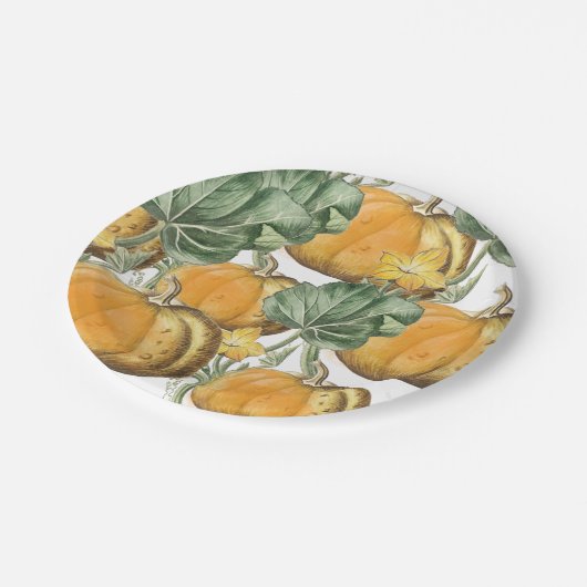 秋秋の水の色ヴィンテージカボチャ ペーパープレート (アングル)