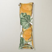 秋秋の水の色ヴィンテージカボチャ ボディピロー (正面縦)