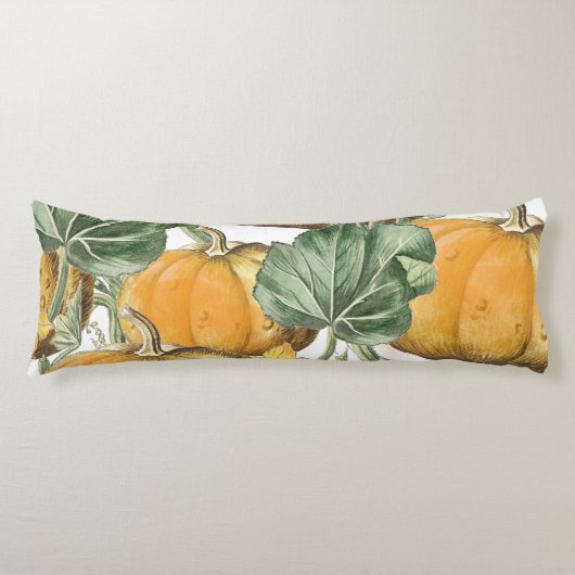 秋秋の水の色ヴィンテージカボチャ ボディピロー (正面)