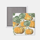 秋秋の水の色ヴィンテージカボチャ マグネット (正面/裏面)