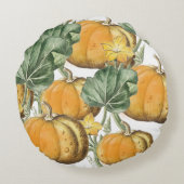 秋秋の水の色ヴィンテージカボチャ ラウンドクッション (裏面)