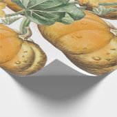 秋秋の水の色ヴィンテージカボチャ ラッピングペーパー (角)