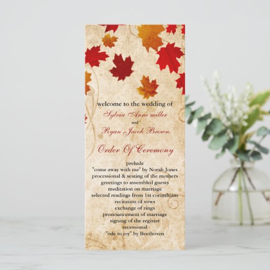 秋秋の茶色葉の結婚式 プログラム (スタンド正面)