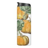 秋秋ヴィンテージカボチャ タンブラー (回転右)