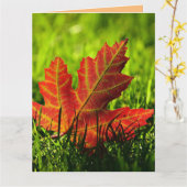 秋秋誕生日グリーティングカード カード (黄色い花)