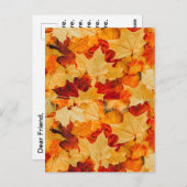 秋紅葉グリーティングカード ポストカード (正面/裏面)