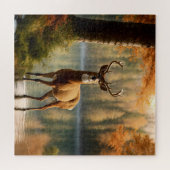 秋素晴らしの海で12ポイントのバック ジグソーパズル (横)