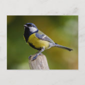 秋素晴らしの疲れ ポストカード (正面)