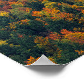 秋素晴らし林 ポスター (角)