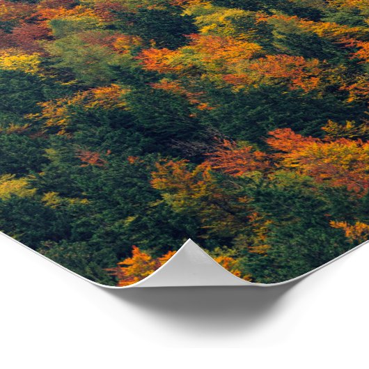 秋素晴らし林 ポスター (角)