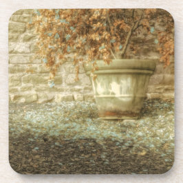 秋素朴の庭 コースター