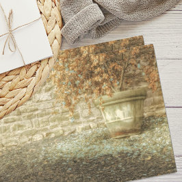 秋素朴の庭 薄葉紙