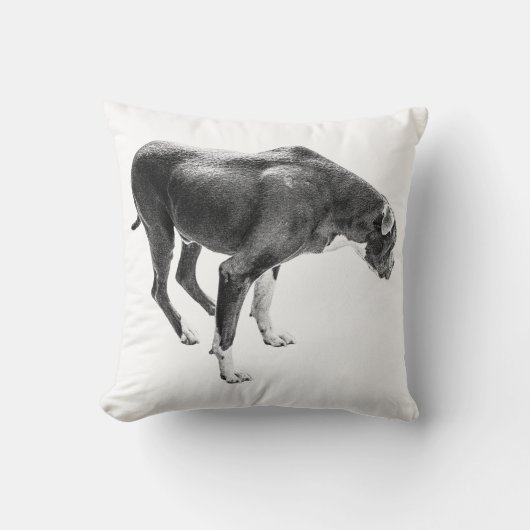 秋素朴保護具 クッション (正面)