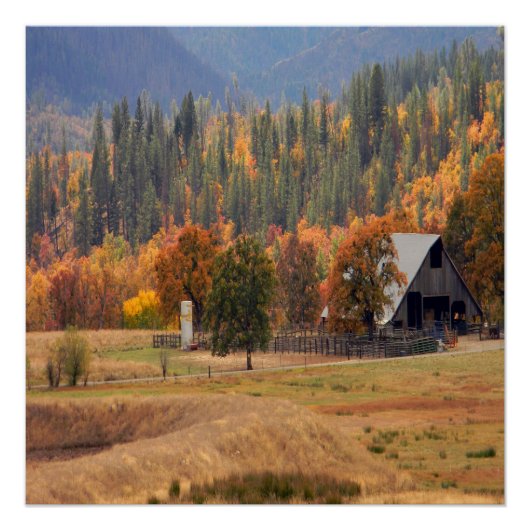 秋美しいハイフォーク，カリフォルニア… ポスター (正面)