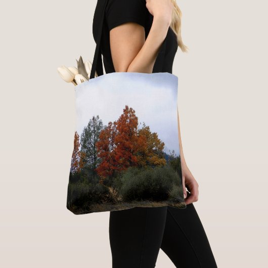 秋美しい..... トートバッグ (クローズアップ)