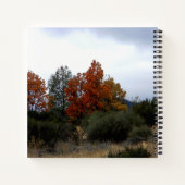 秋美しい..... ノートブック (裏面)