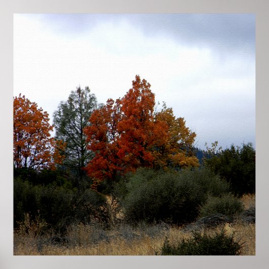 秋美しい..... ポスター (正面)