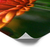 秋美しい ポスター (角)