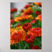 秋美しい ポスター (正面)