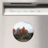 秋美しい..... マグネット (インサイチュ (食洗機))