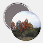 秋美しい..... マグネット (正面/裏面)