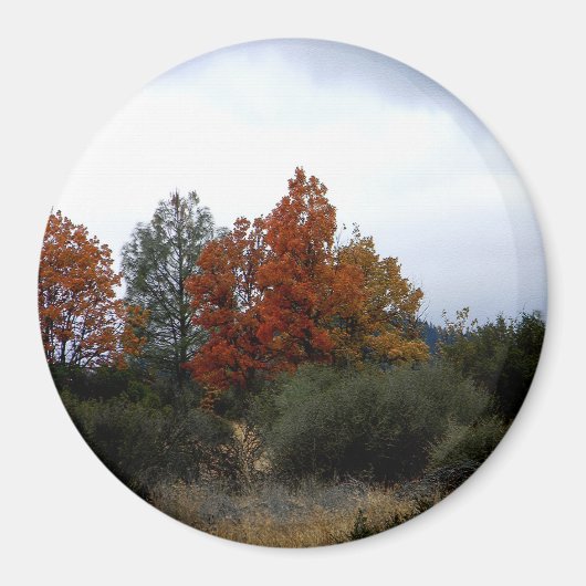 秋美しい..... マグネット (正面)