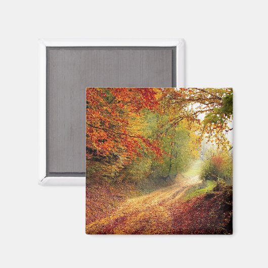 秋美しい マグネット (正面/裏面)