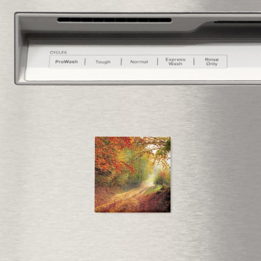 秋美しい マグネット (インサイチュ (食洗機))