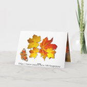 秋美しい~感謝祭カード シーズンカード (裏面)