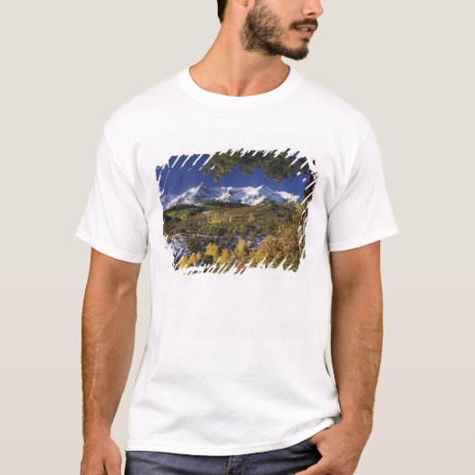 秋色に染まるサン フアン山脈とポプラの木々 Tシャツ (正面)