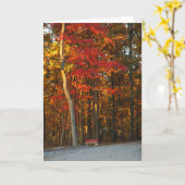 秋色は日を明るくします カード (黄色い花)