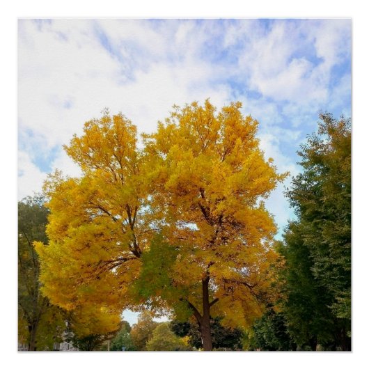 秋色まろやかな黄色のポスター ポスター (正面)