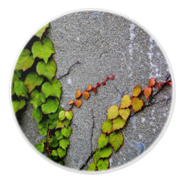 秋色離れ セラミックノブ