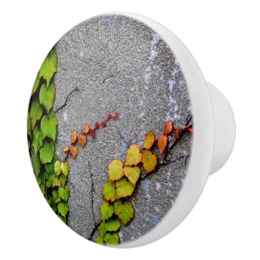 秋色離れ セラミックノブ (右)